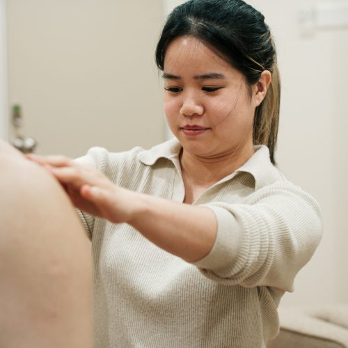 Gonstead Visualisation